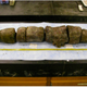 La materia fecal encontrada en el intestino de la serpiente. Imagen: S. M. Boback et al., 2016